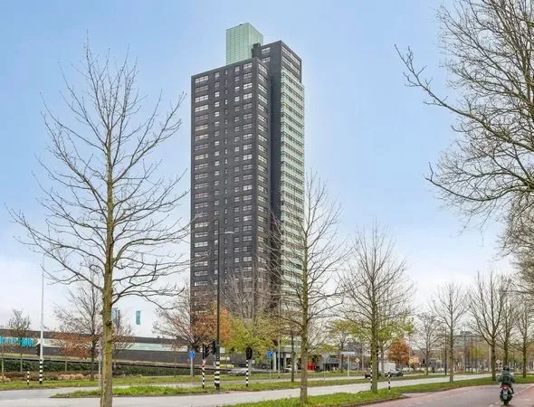 Team photo of Extate Housing