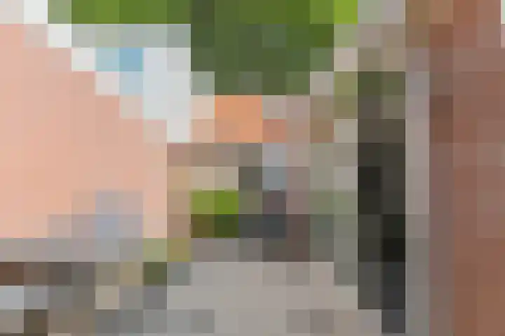 Exterpad 13 Enkhuizen thumbnail 32