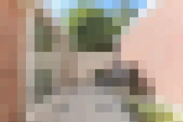 Exterpad 13 Enkhuizen thumbnail 33