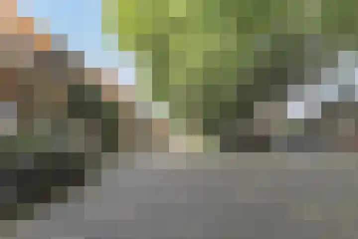 Exterpad 13 Enkhuizen thumbnail 38