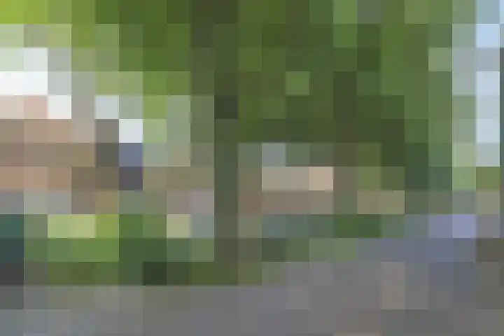 Exterpad 13 Enkhuizen thumbnail 39