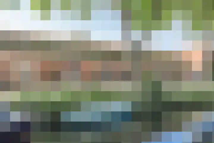 Exterpad 13 Enkhuizen thumbnail 8