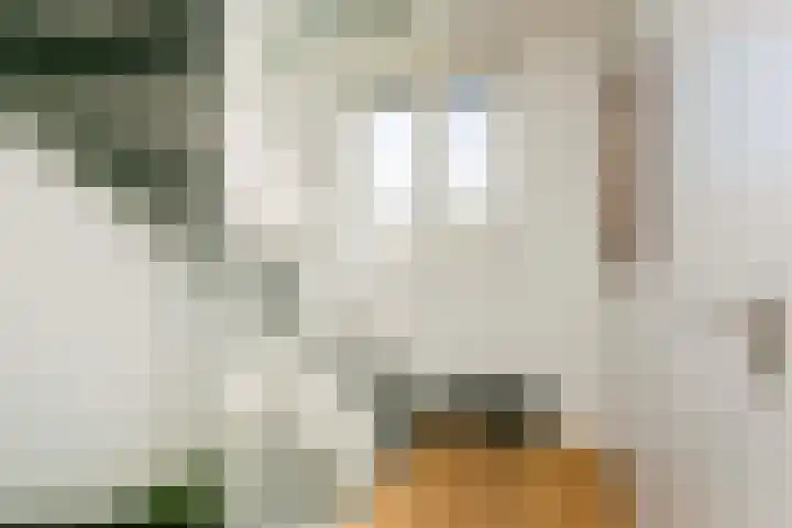 Eyckenstein 3 Vleuten thumbnail 15