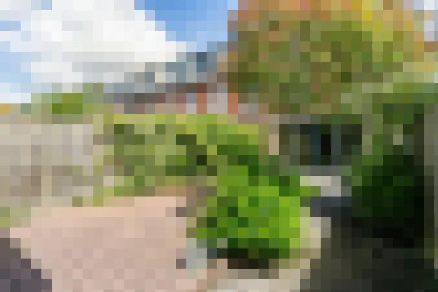 Eyckenstein 31 Vleuten thumbnail 11