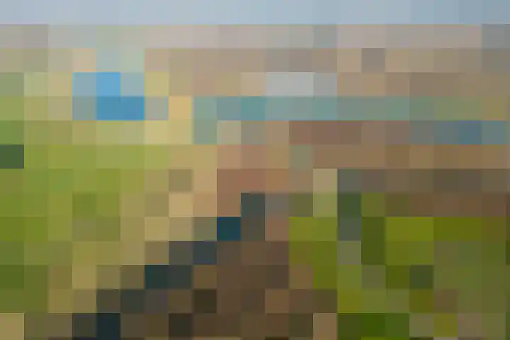 Eyckenstein 32 Vleuten thumbnail 48