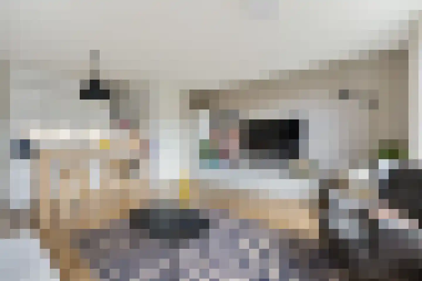 Eyckenstein 66 Vleuten thumbnail 16