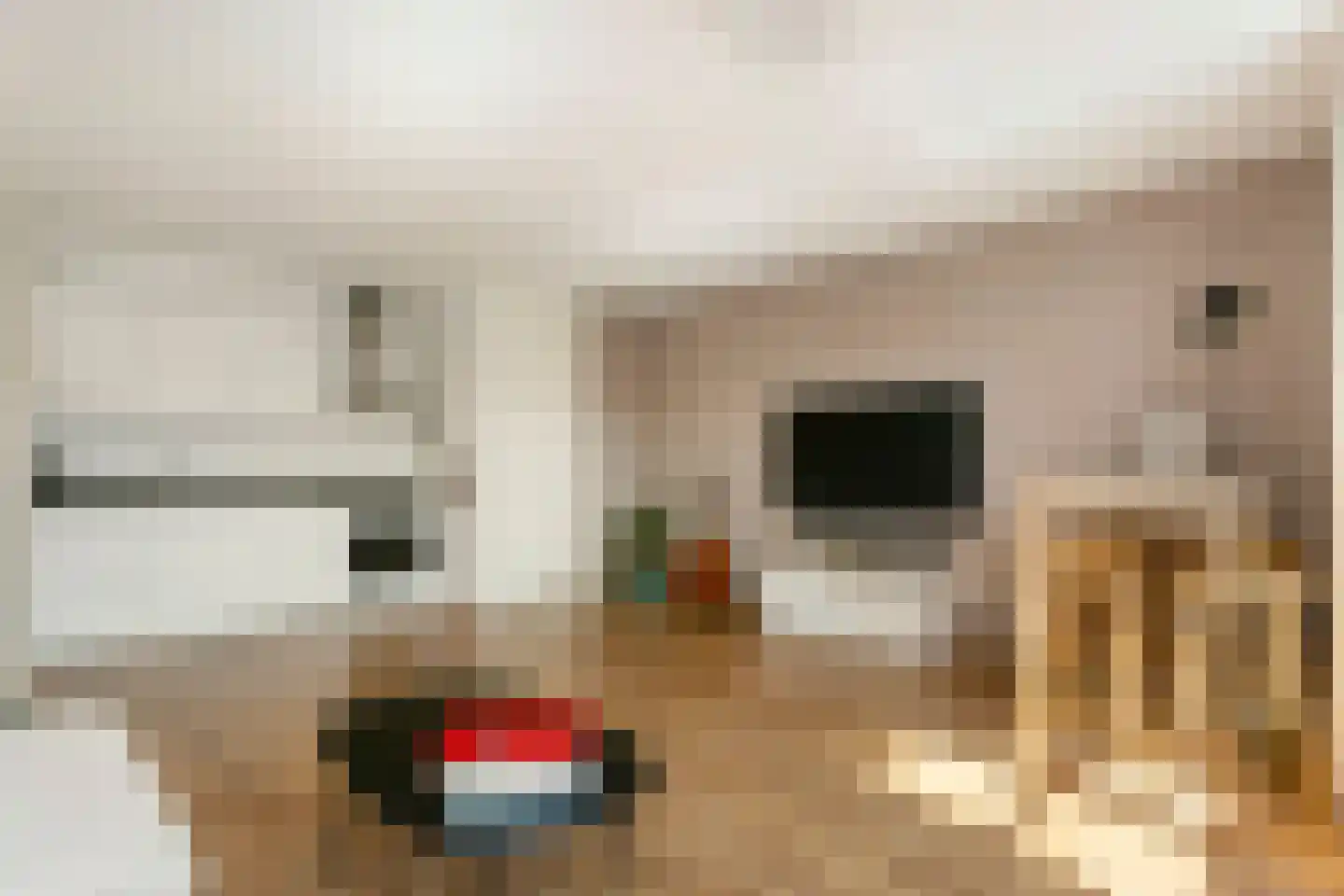 Eyckenstein 66 Vleuten thumbnail 4