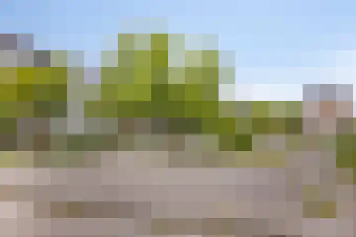 Eyckenstein 72 Vleuten thumbnail 24