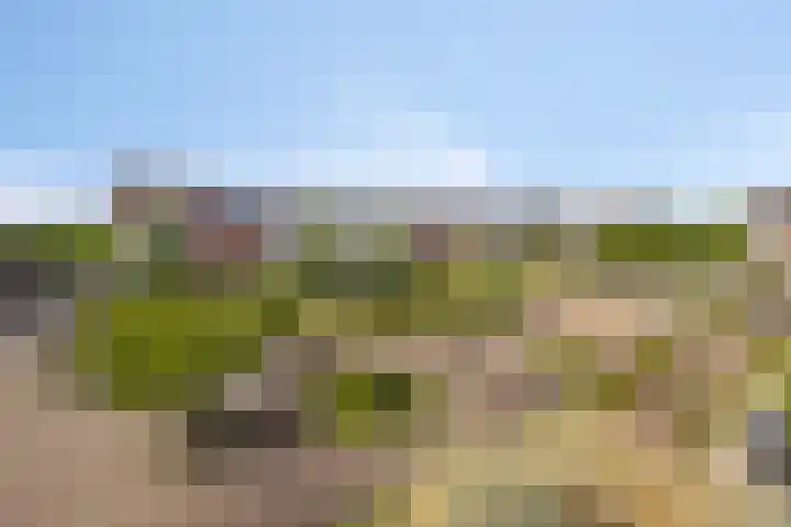 Eyckenstein 72 Vleuten thumbnail 25