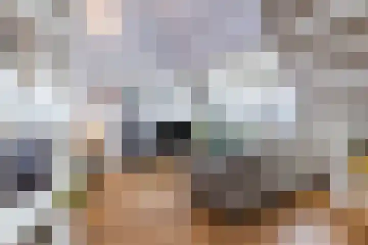 Eyckenstein 78 Vleuten thumbnail 6