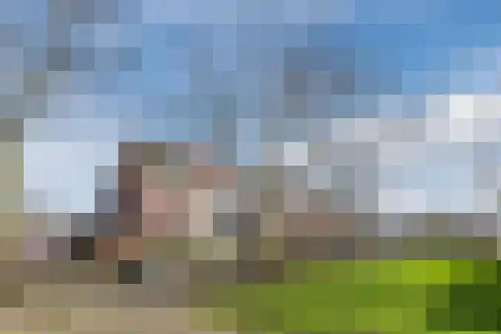 Eyckenstein 78 Vleuten thumbnail 64