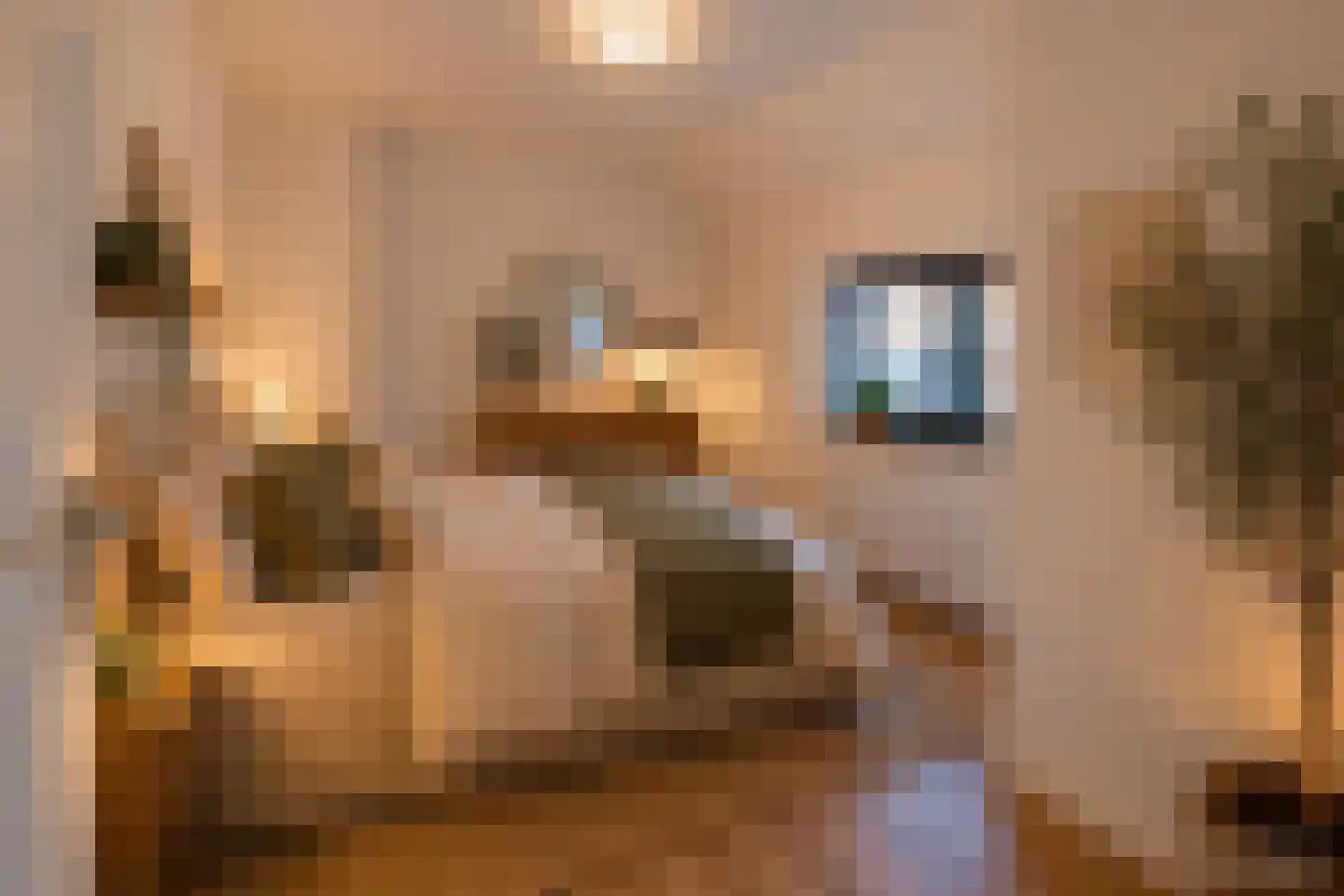 Eyckholtstraat 4 Roosteren thumbnail 24