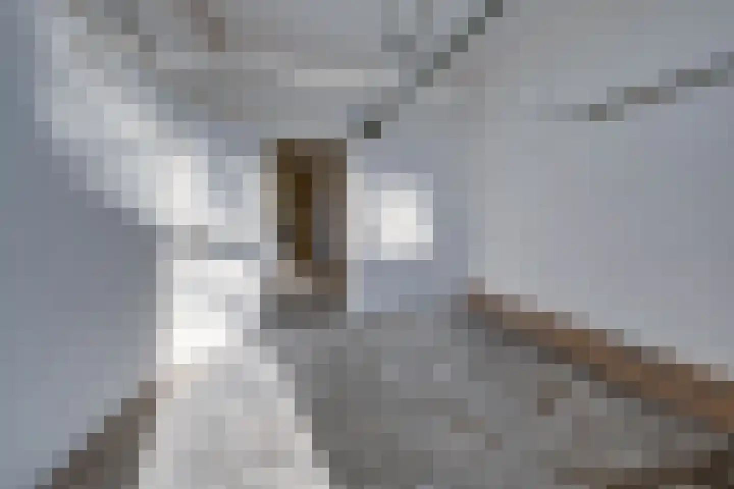 Eyckholtstraat 4 Roosteren thumbnail 36