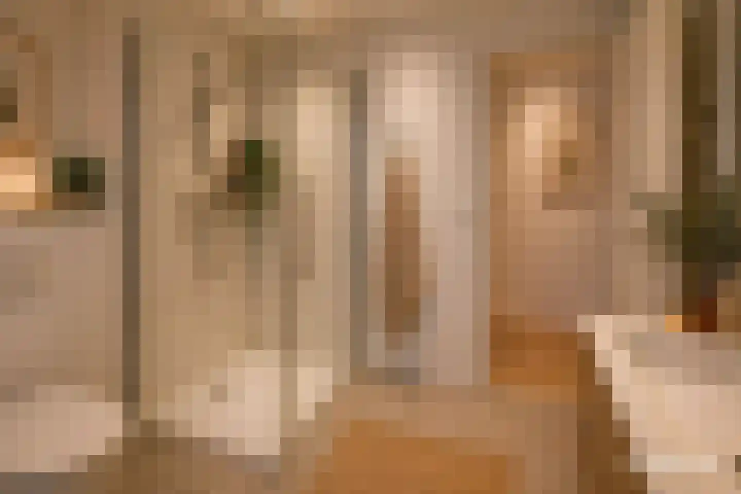Eyckholtstraat 4 Roosteren thumbnail 5