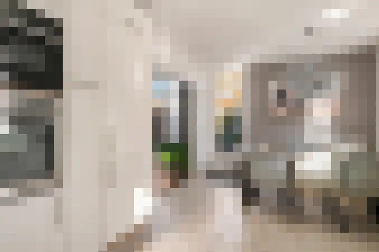 Eyken Donck 5 Noordwijkerhout thumbnail 10
