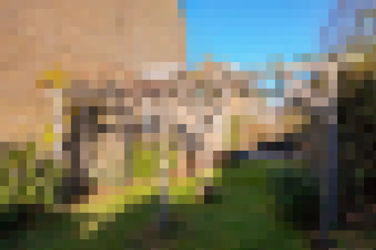 Eyken Donck 5 Noordwijkerhout thumbnail 12