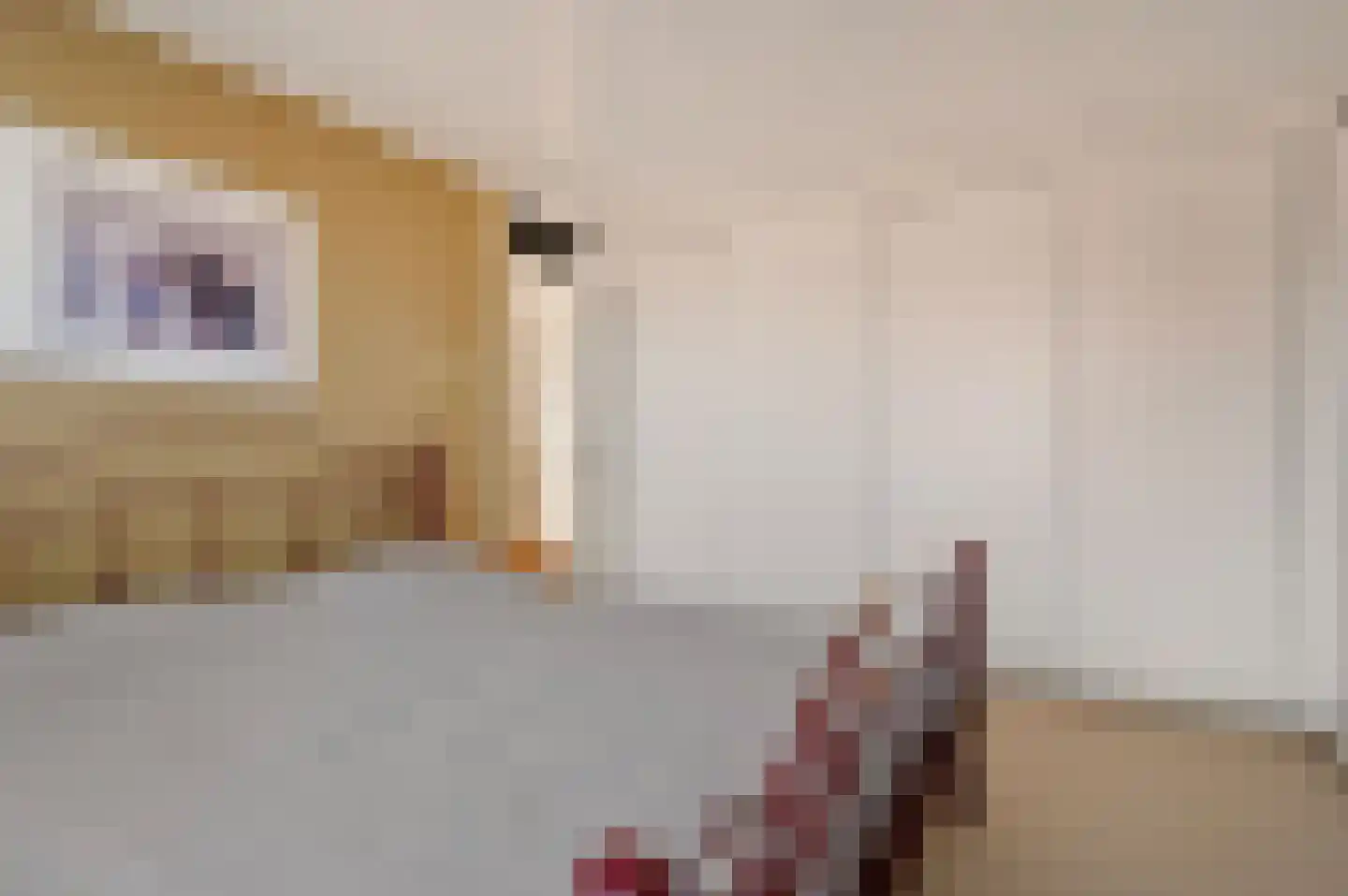 Eyken Donck 5 Noordwijkerhout thumbnail 15