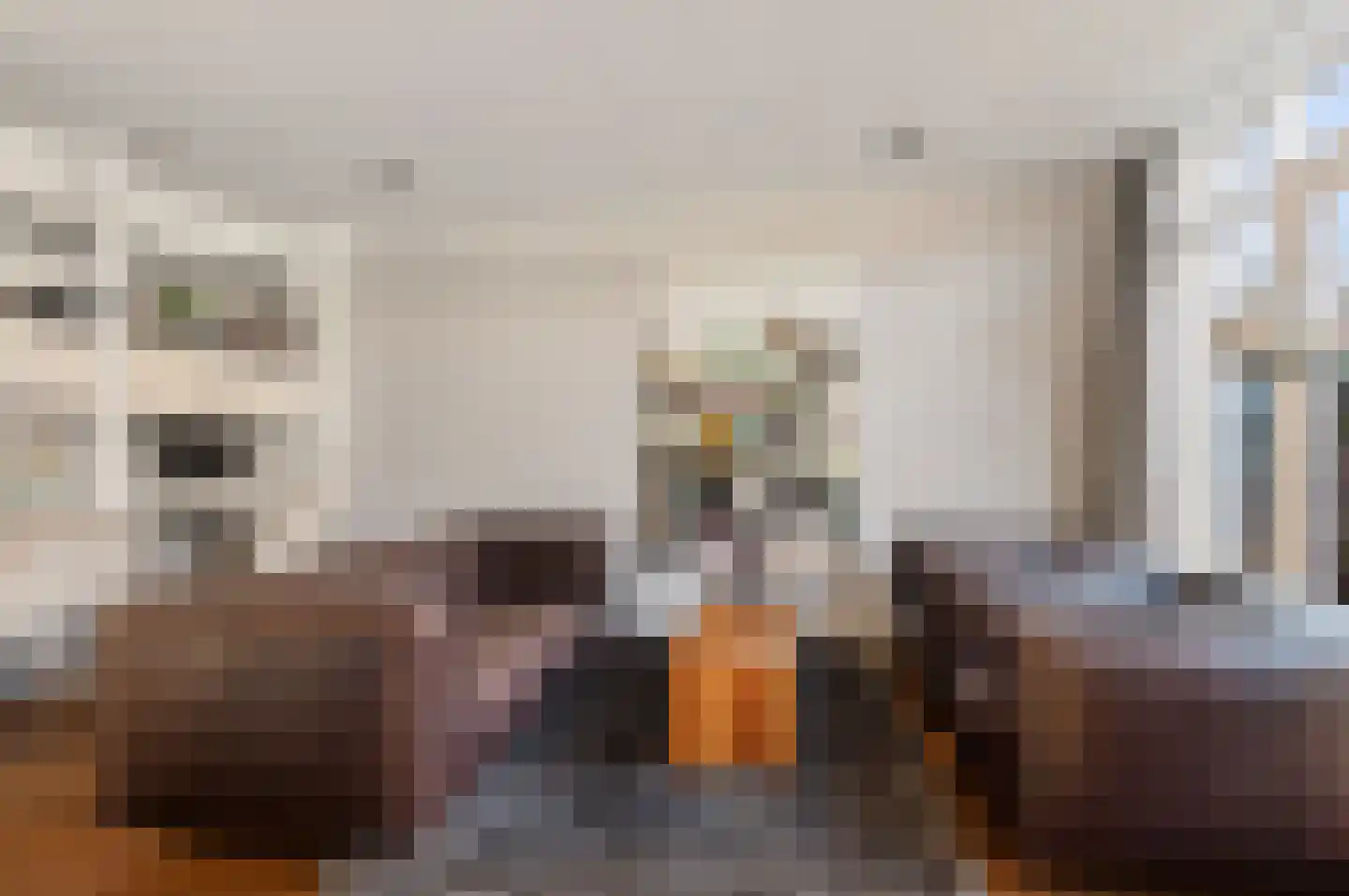 Eyken Donck 5 Noordwijkerhout thumbnail 6