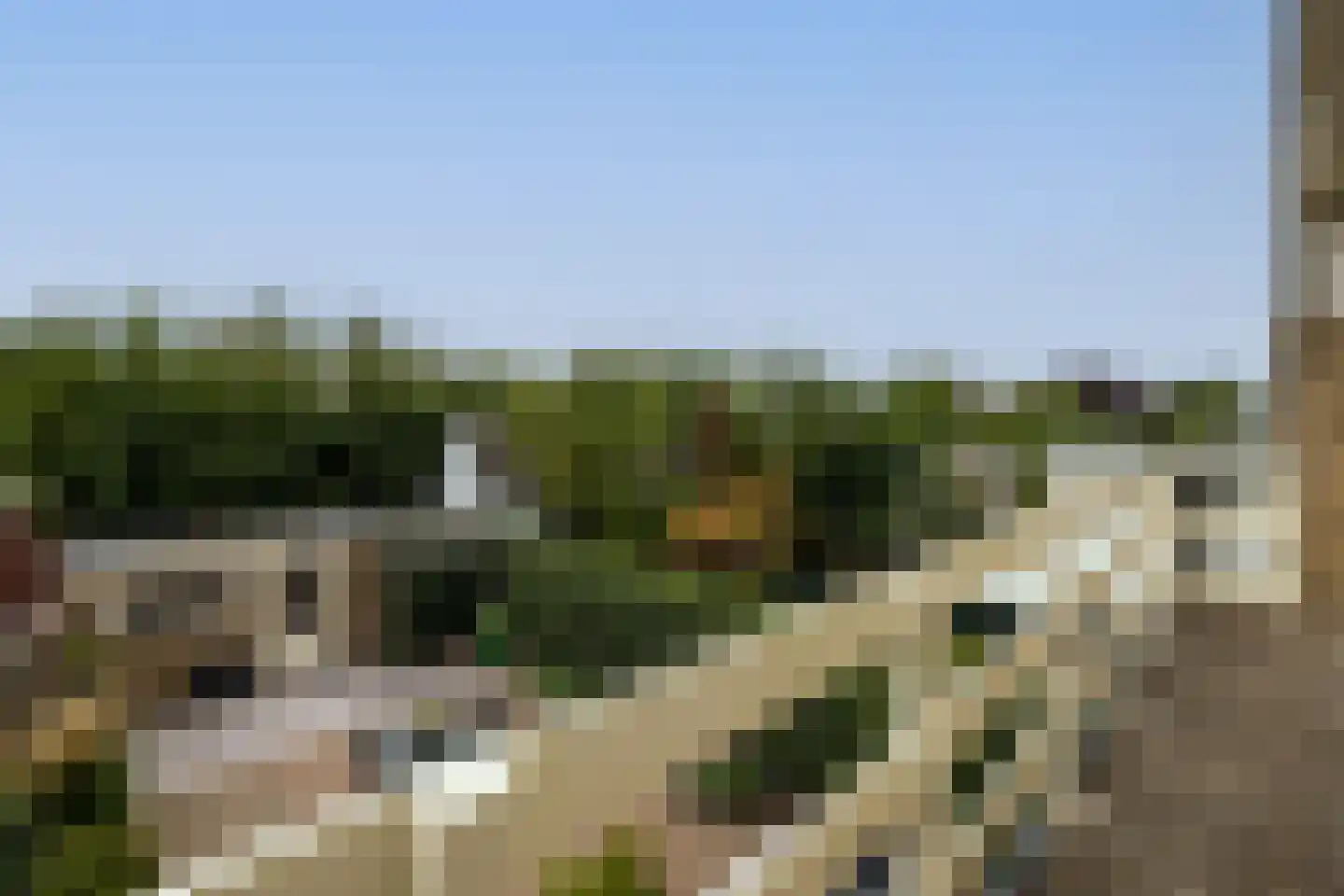 Eyken Donck 50 Noordwijkerhout thumbnail 20