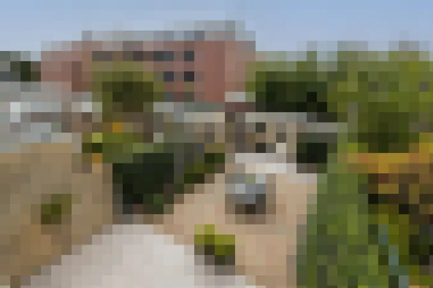 Eyken Donck 50 Noordwijkerhout thumbnail 21