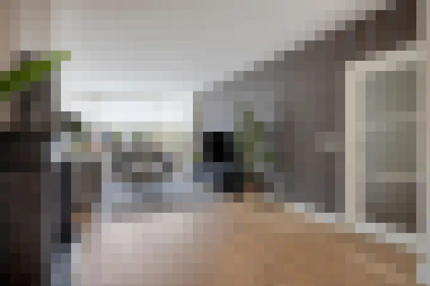 Eyken Donck 52 Noordwijkerhout thumbnail 15