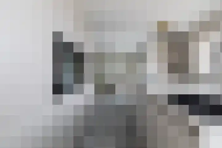 Eykereind 40 Bergeijk thumbnail 13