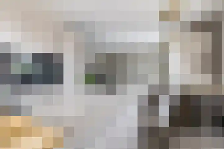 Eykereind 40 Bergeijk thumbnail 14