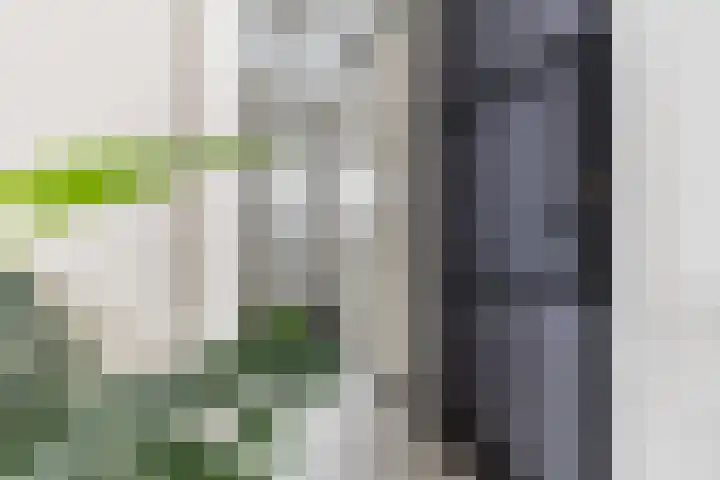 Eykereind 40 Bergeijk thumbnail 16