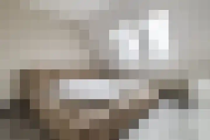 Eykereind 40 Bergeijk thumbnail 19