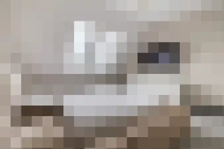 Eykereind 40 Bergeijk thumbnail 20