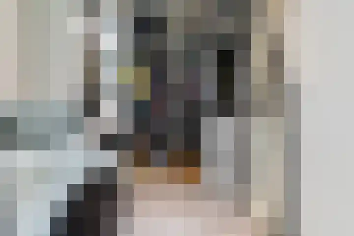 Eykereind 40 Bergeijk thumbnail 23