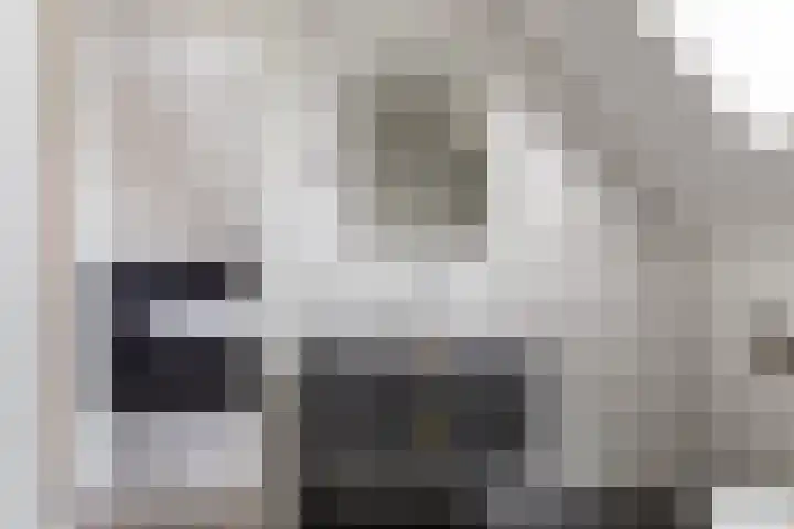 Eykereind 40 Bergeijk thumbnail 24