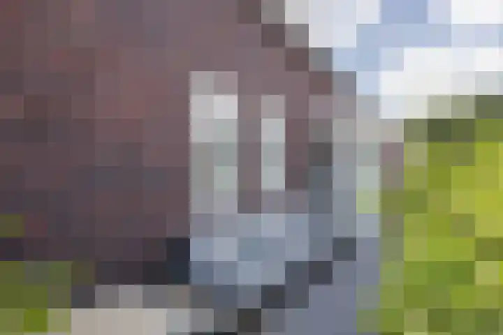 Eykereind 40 Bergeijk thumbnail 28