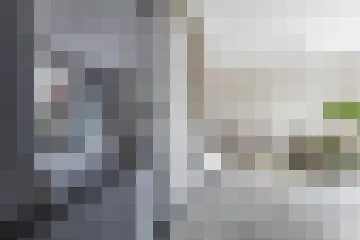 Eykereind 40 Bergeijk thumbnail 5