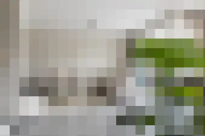 Eykereind 40 Bergeijk thumbnail 6