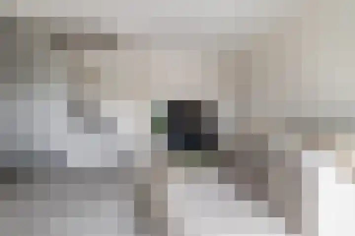 Eykereind 40 Bergeijk thumbnail 9