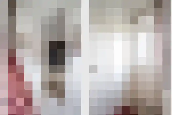 Eykereind 52 Bergeijk thumbnail 4