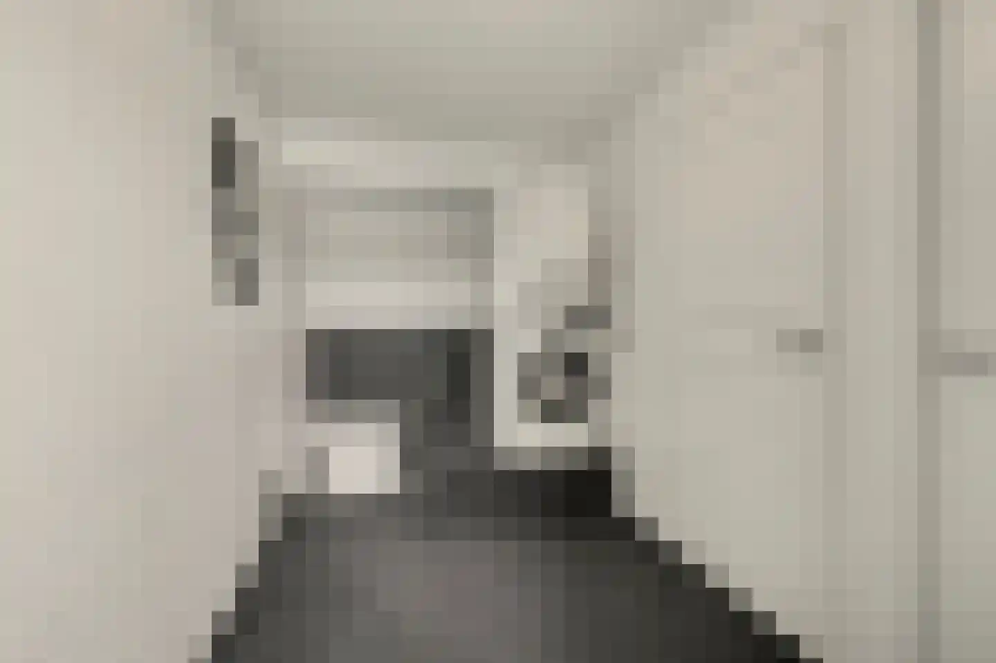 Eykereind 64 Bergeijk thumbnail 25