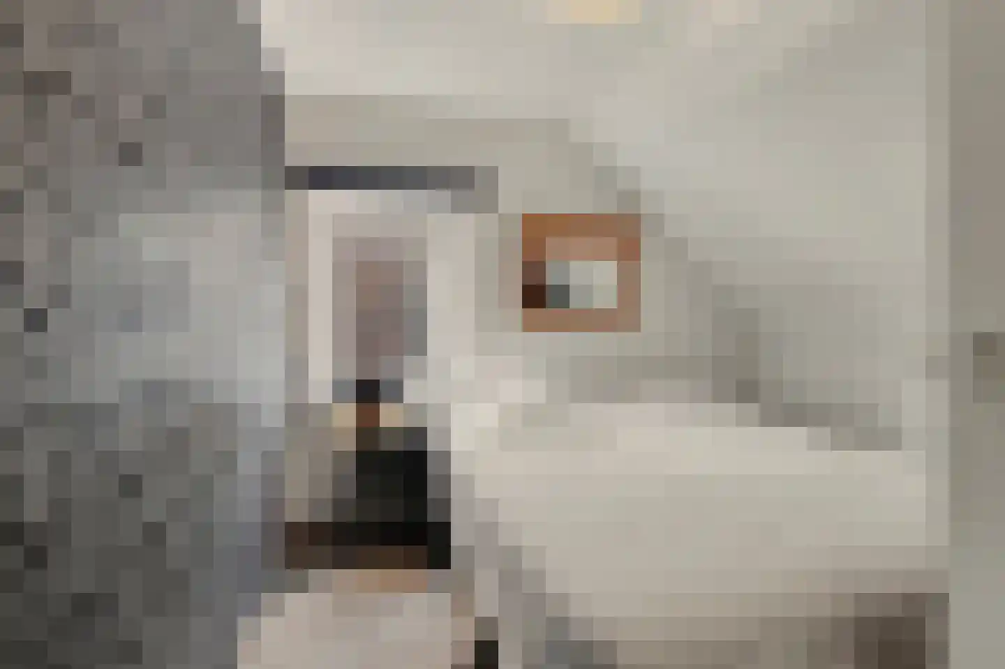 Eykereind 64 Bergeijk thumbnail 26