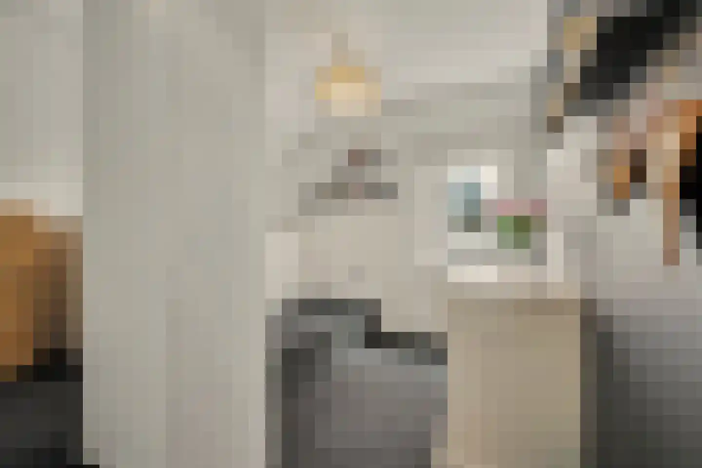 Eykereind 64 Bergeijk thumbnail 27