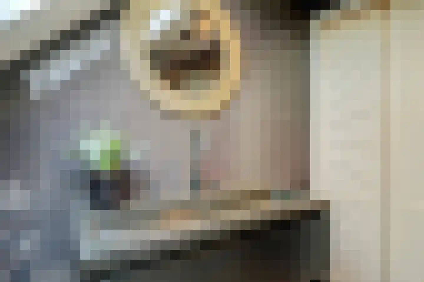 Eykereind 64 Bergeijk thumbnail 30
