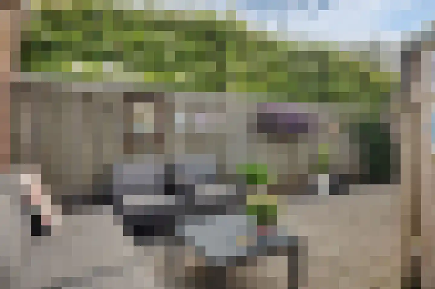 Eykereind 64 Bergeijk thumbnail 36