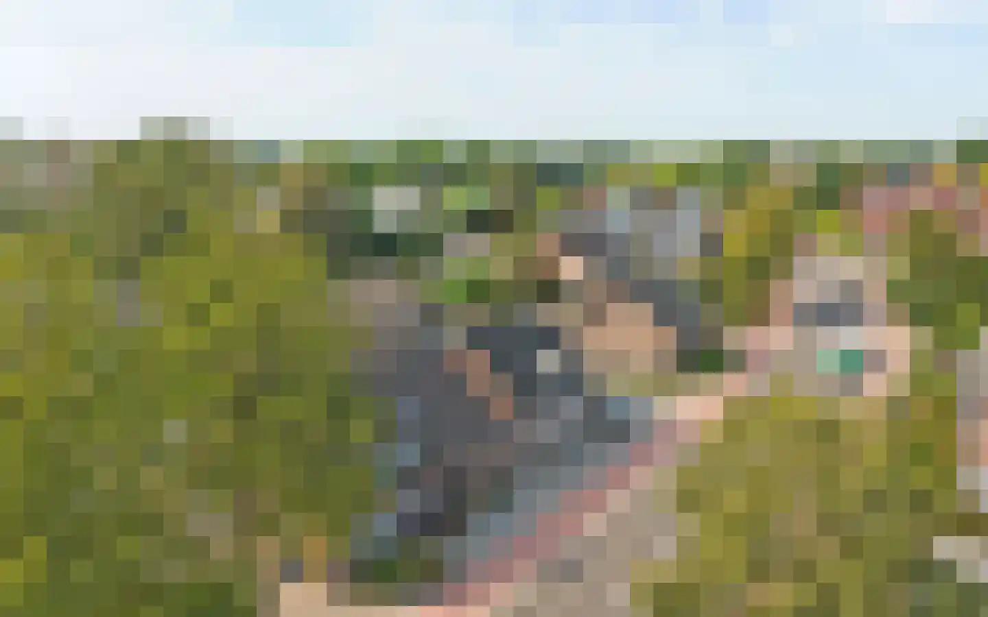 Eykereind 64 Bergeijk thumbnail 40