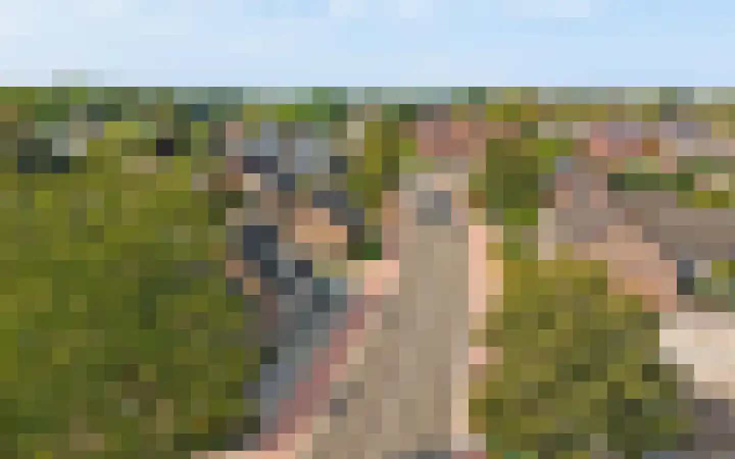 Eykereind 64 Bergeijk thumbnail 41