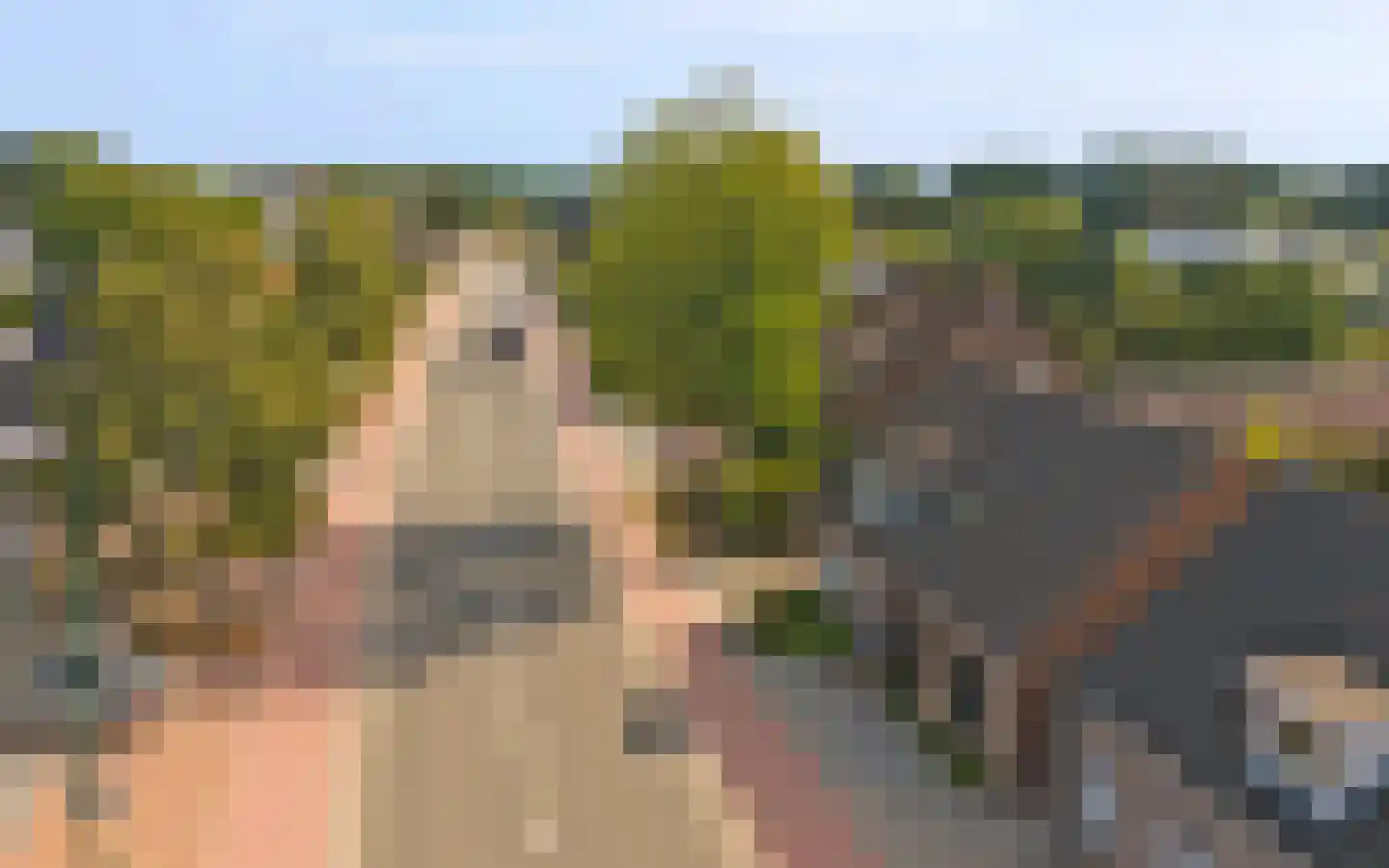 Eykereind 64 Bergeijk thumbnail 42