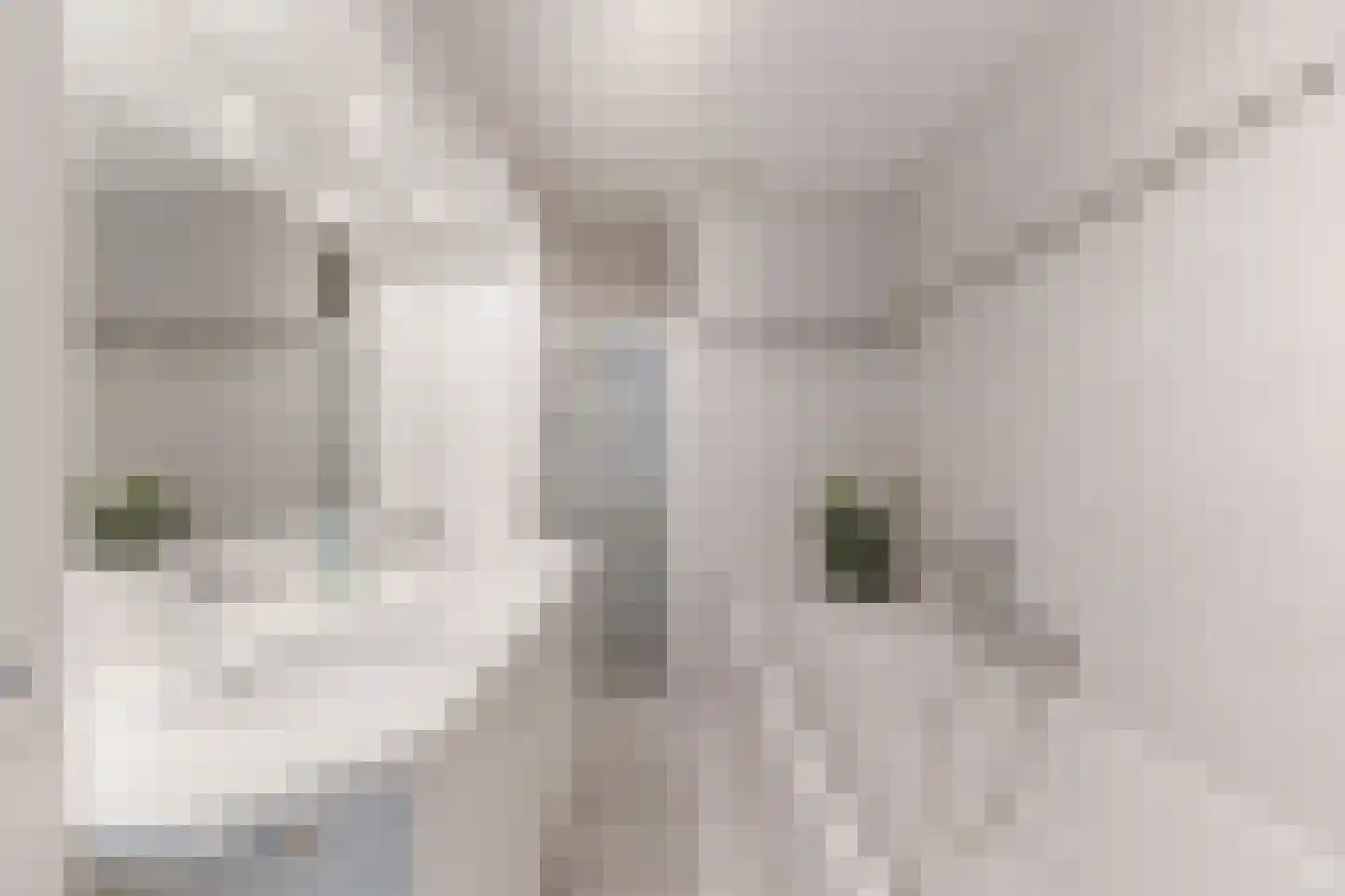 Eykereind 65 Bergeijk thumbnail 22
