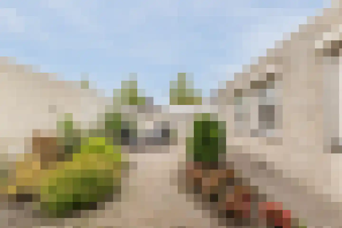 Eykereind 65 Bergeijk thumbnail 30