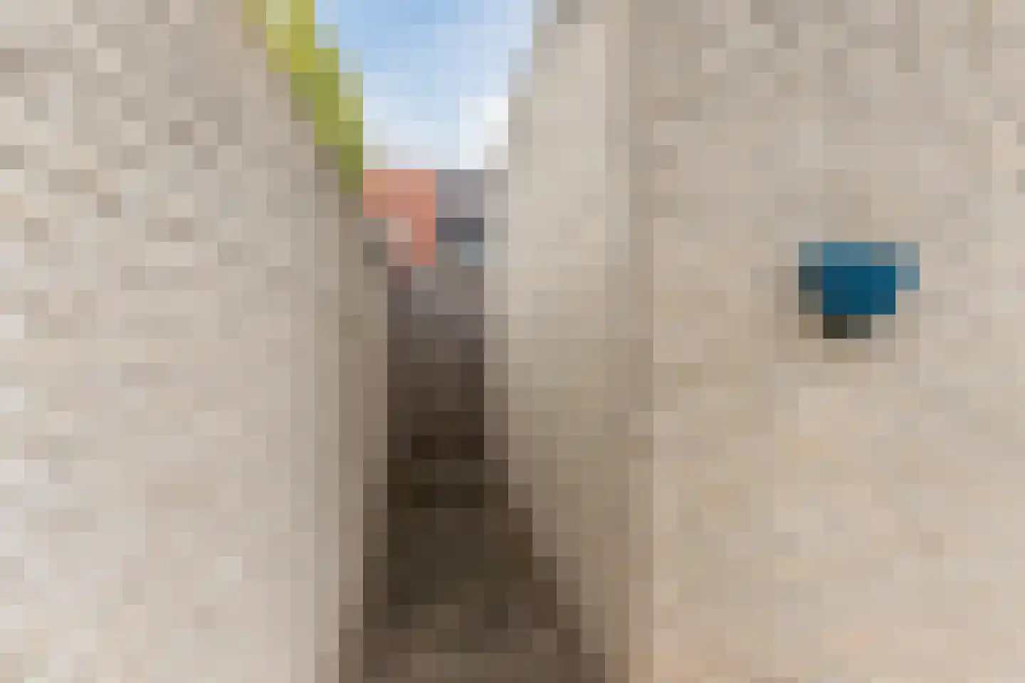 Eykereind 65 Bergeijk thumbnail 34