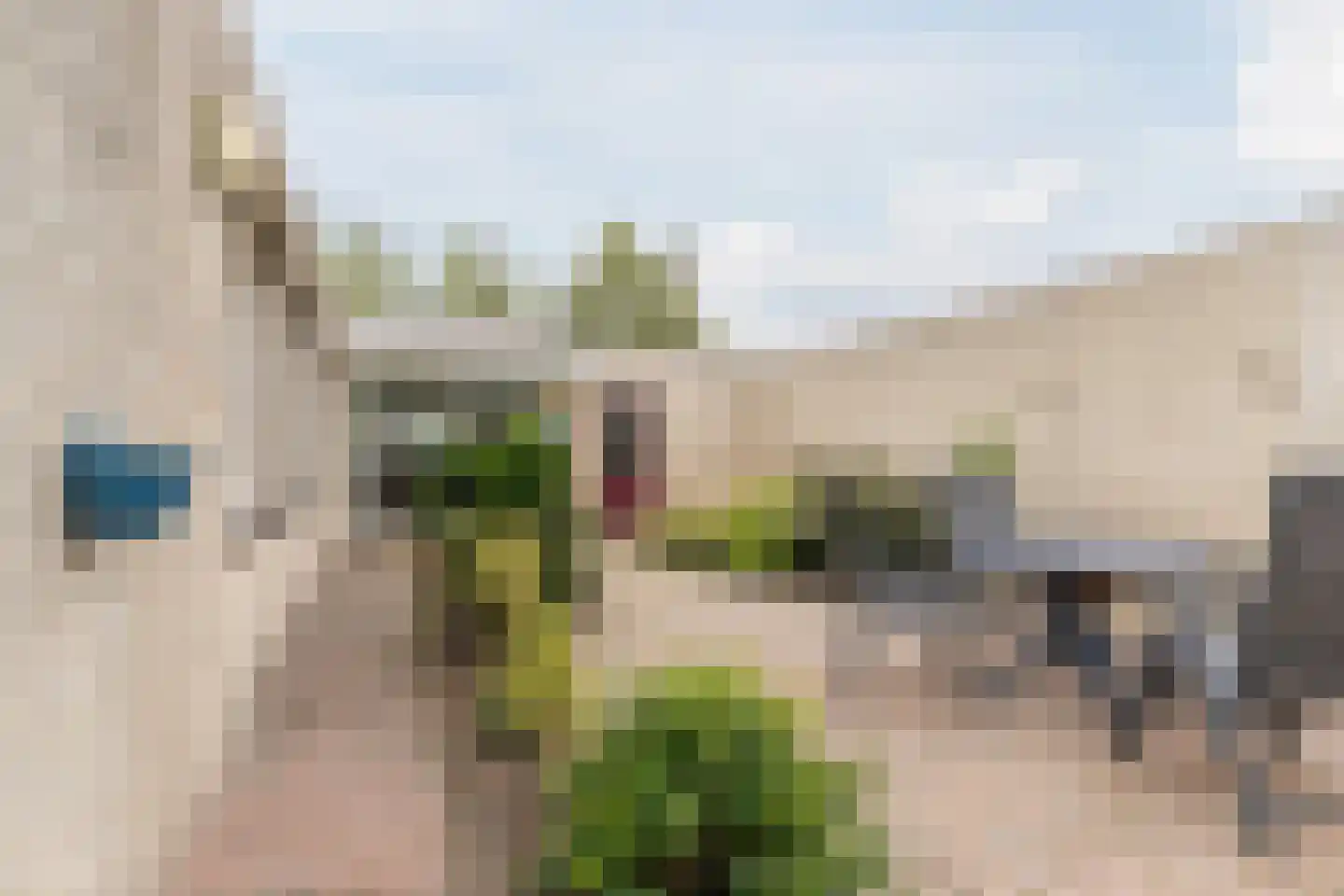 Eykereind 65 Bergeijk thumbnail 35