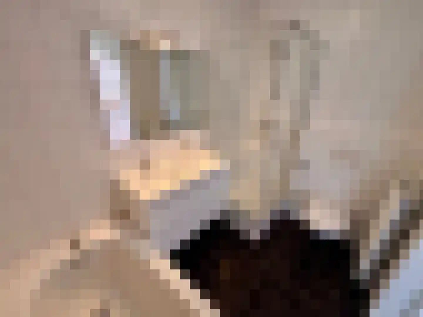 Eykerstokweg 38 a Heythuysen thumbnail 21